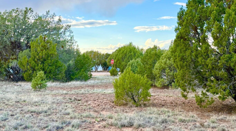 20251114200207567089000000-o