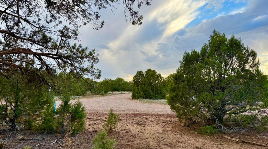 20251114200207014034000000-o