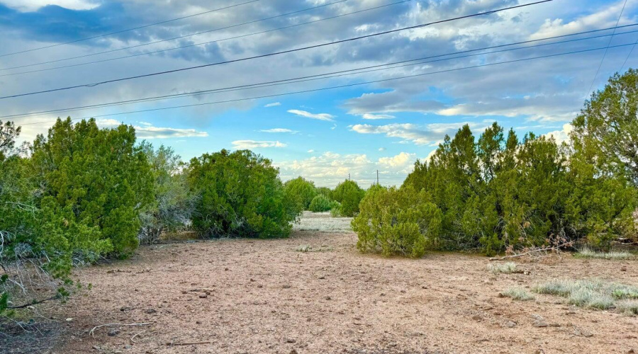 20251114200207376060000000-o