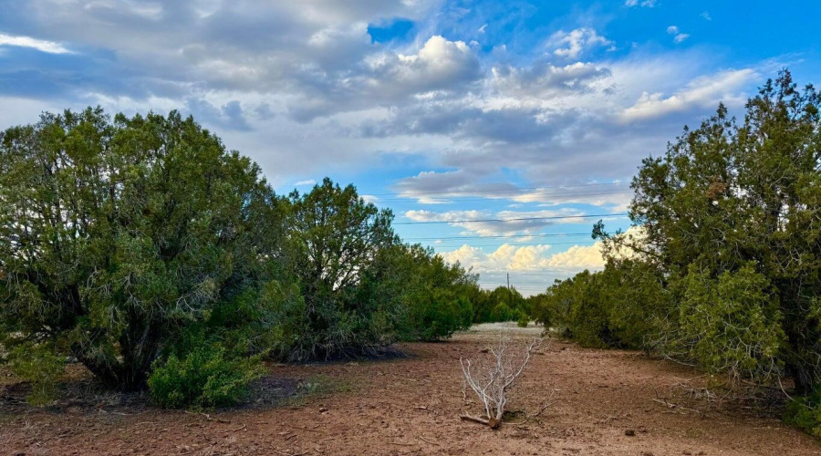 20251114200207440263000000-o