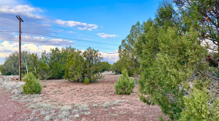 20251114200207198448000000-o