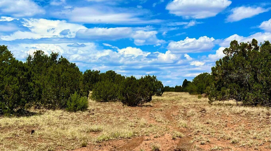 20230715070420553553000000-o