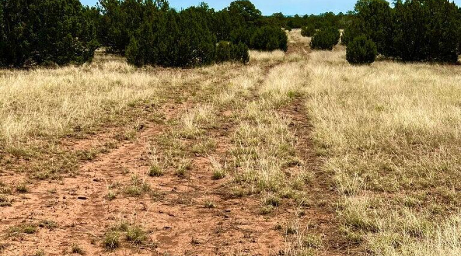 20230715070501830453000000-o