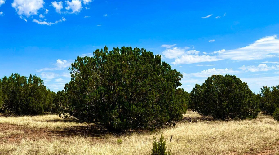 20230715070528026550000000-o