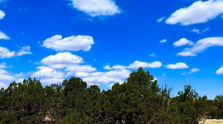 20230715070703671058000000-o