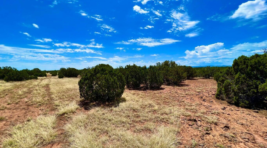 20230715070815168842000000-o