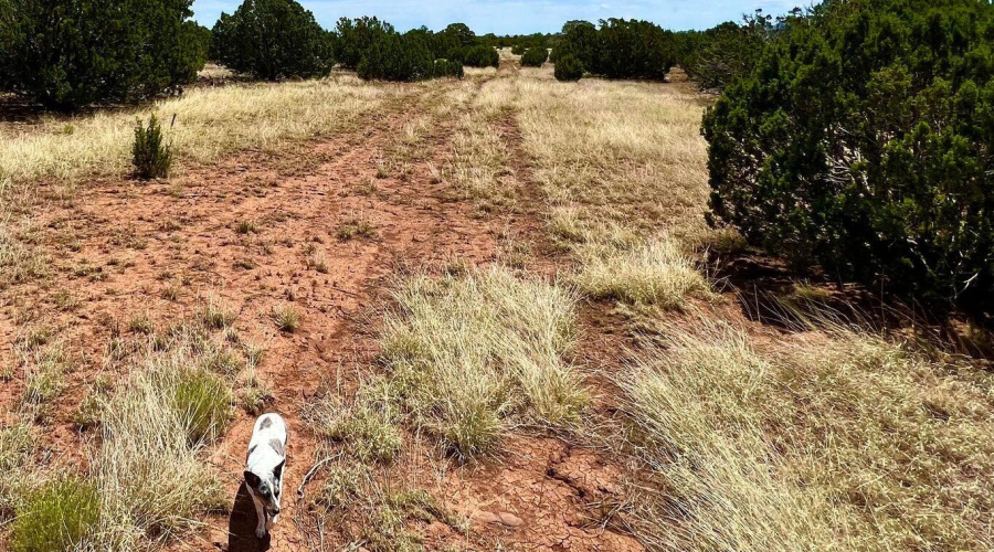 20230715070904064664000000-o