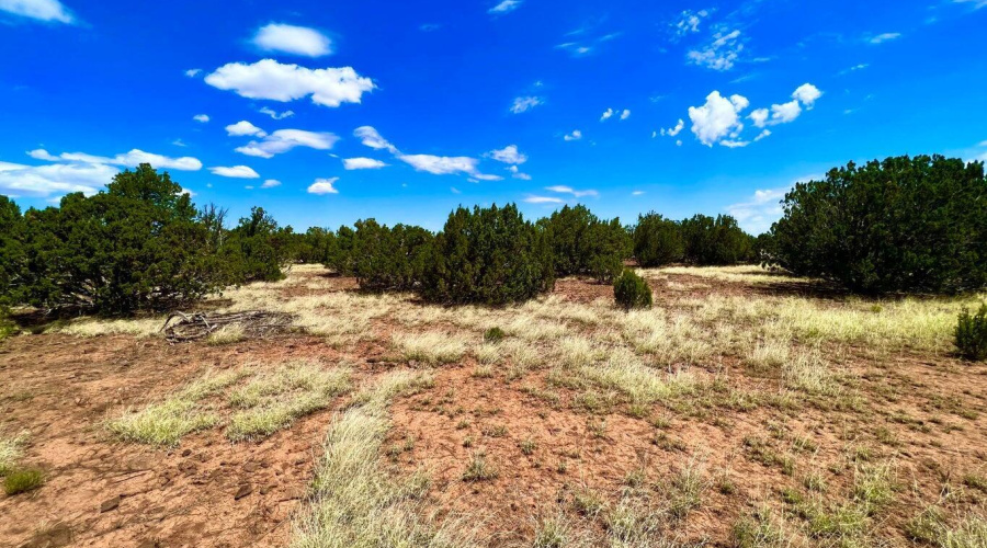 20230715070922357849000000-o