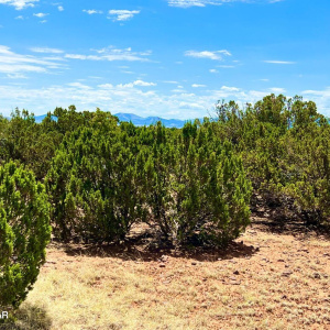 20230715070552685255000000-o