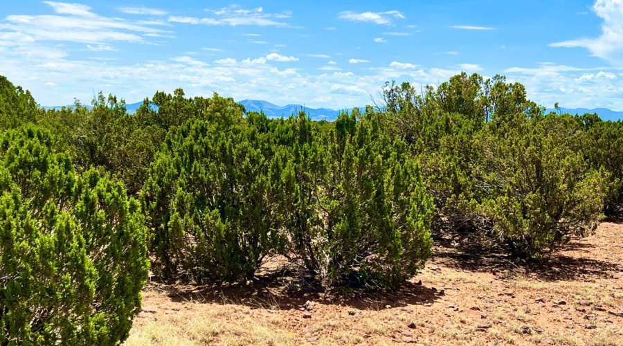 20230715070552685255000000-o