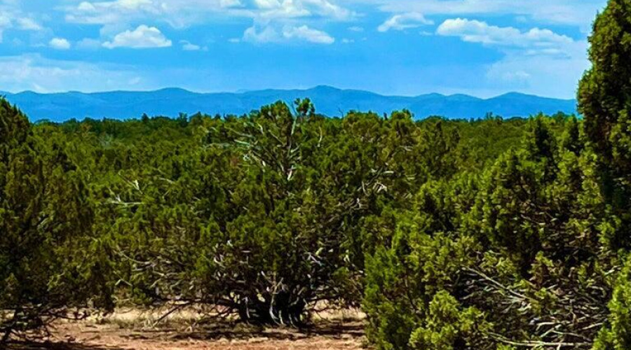 20230715070639161802000000-o