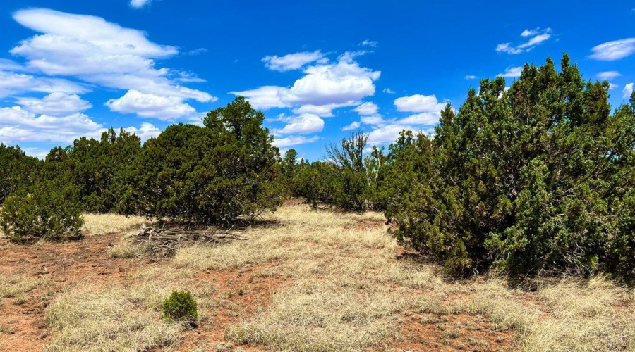 20230715070017400053000000-o