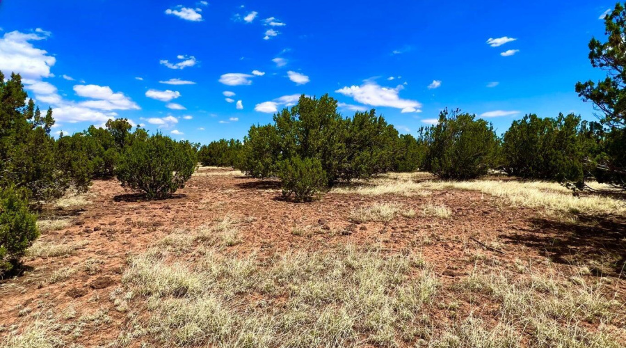 20230715070046776970000000-o