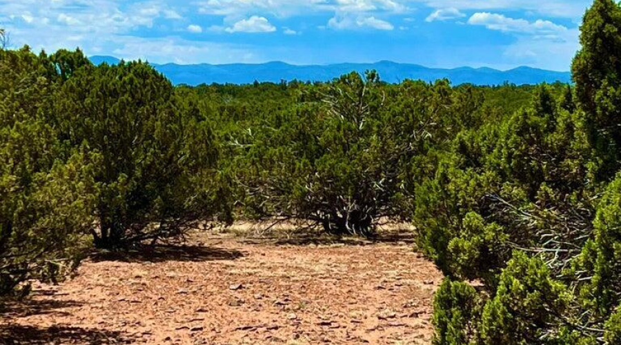 20230715070616036795000000-o