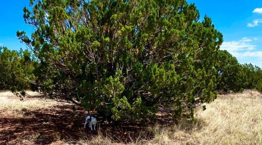 20230715070106678279000000-o