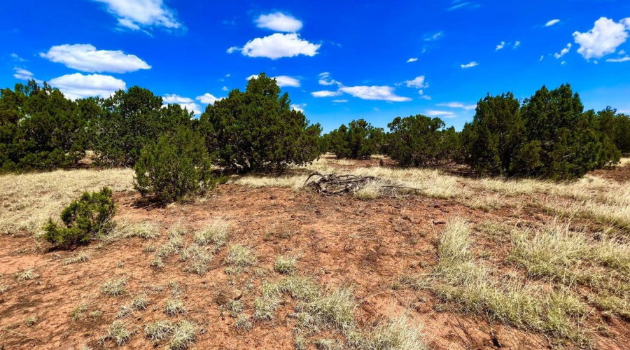 20230715070135952126000000-o