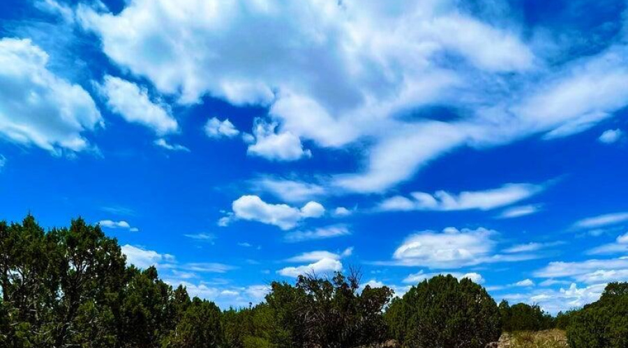 20230715070204796044000000-o