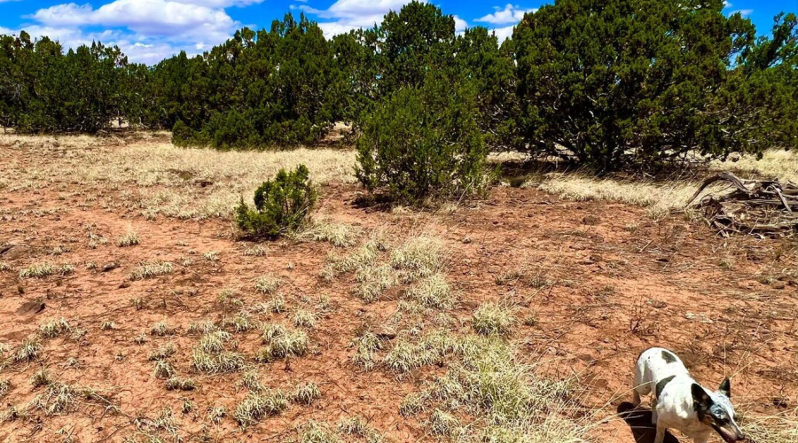 20230715070354054138000000-o