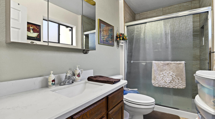 Master Bathroom Downstairs