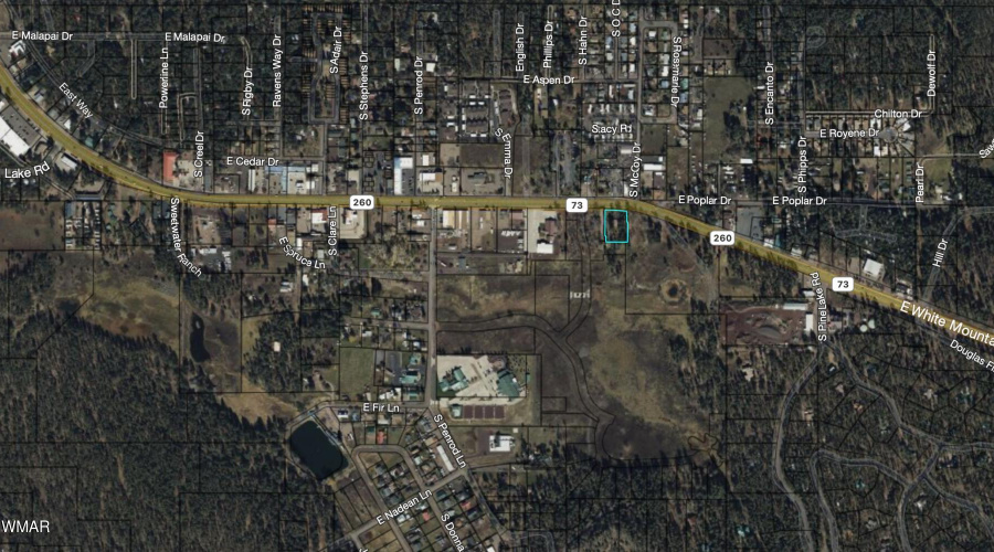 Prime Pinetop Location - HWY Frontage