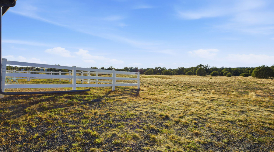 Property back National Forest