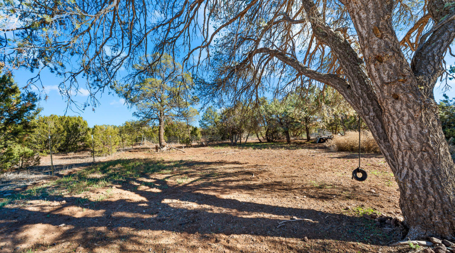 5 ACRES & Home in Vernon, AZ