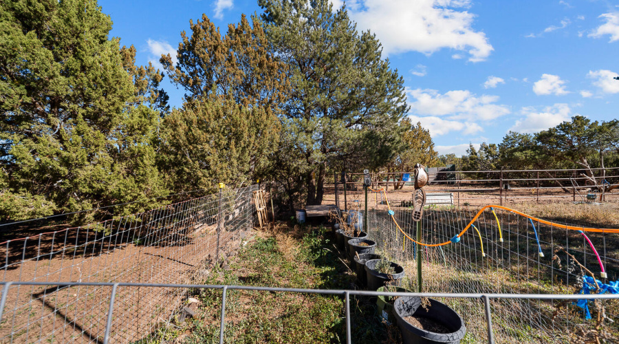 5 ACRES & Home in Vernon, AZ