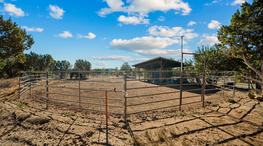 5 ACRES & Home in Vernon, AZ