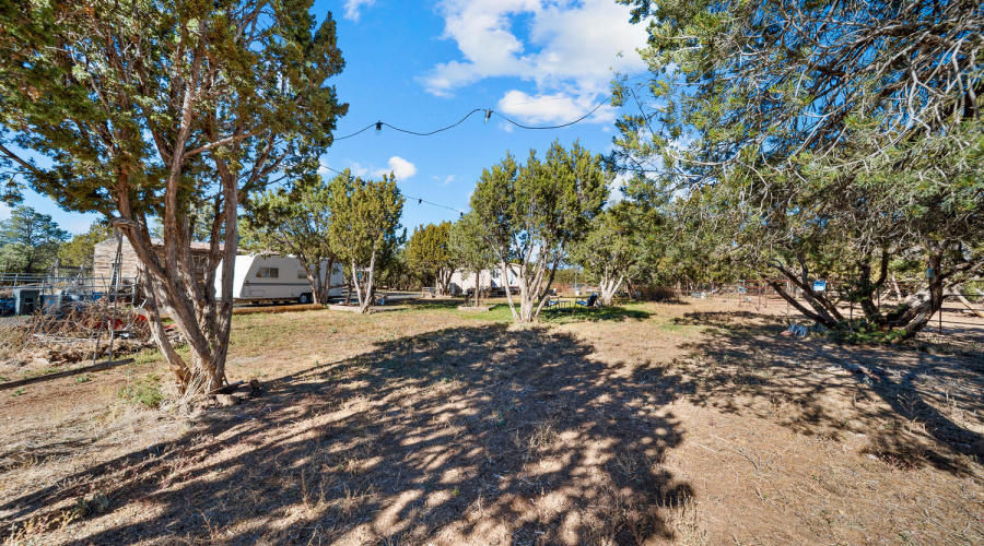5 ACRES & Home in Vernon, AZ
