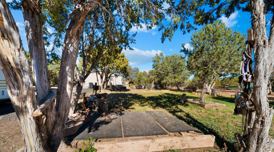 5 ACRES & Home in Vernon, AZ