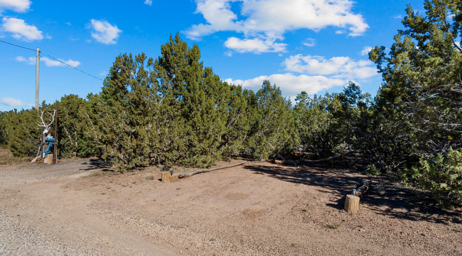 5 ACRES & Home in Vernon, AZ
