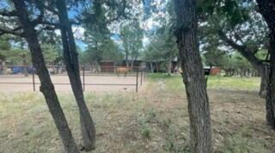 back of lot toward house