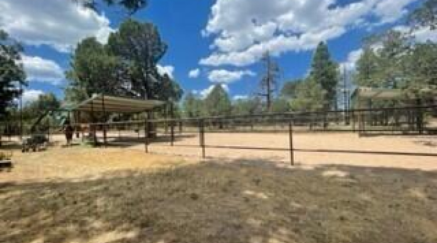 horse corral approx 60 x 120