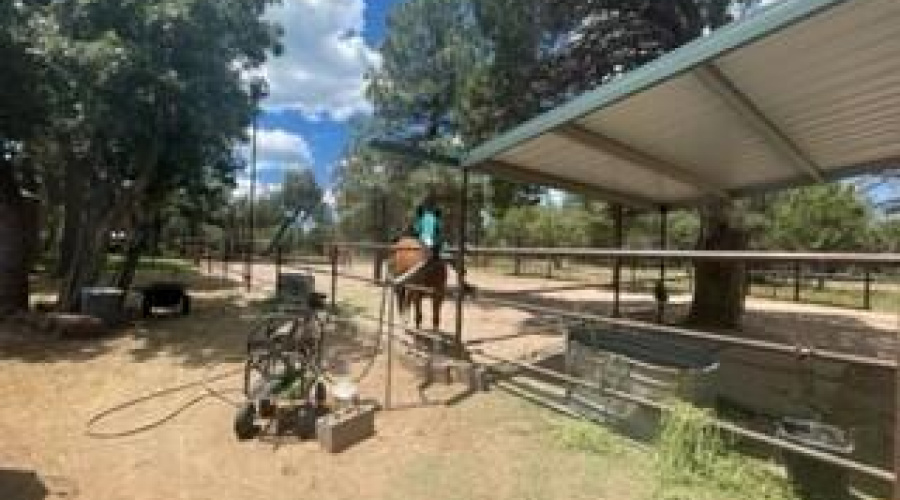 horse corral divider