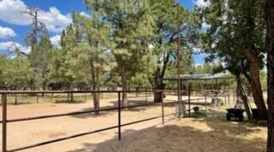 horse corrals 2nd set with lean toos