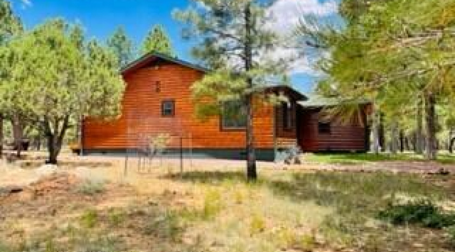 side grass area new trees