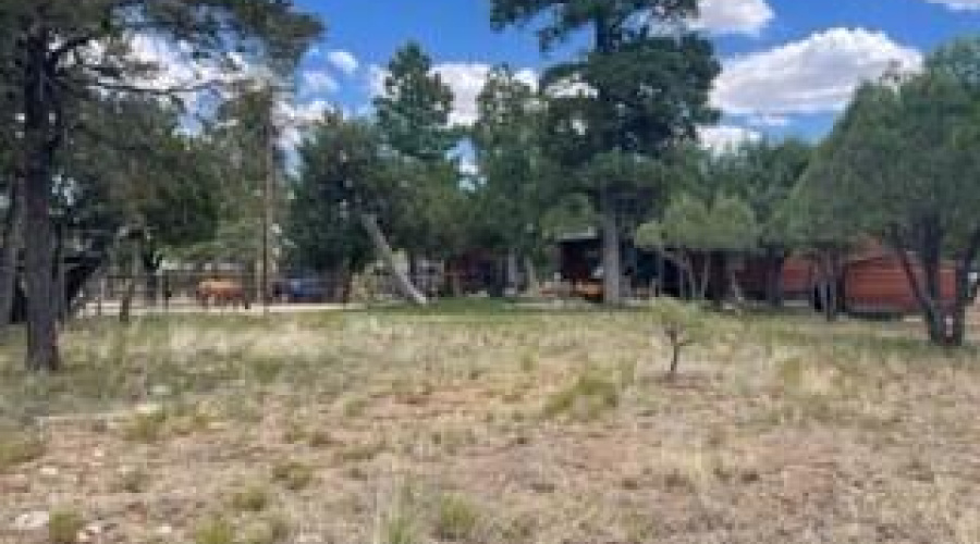 back corner toward house