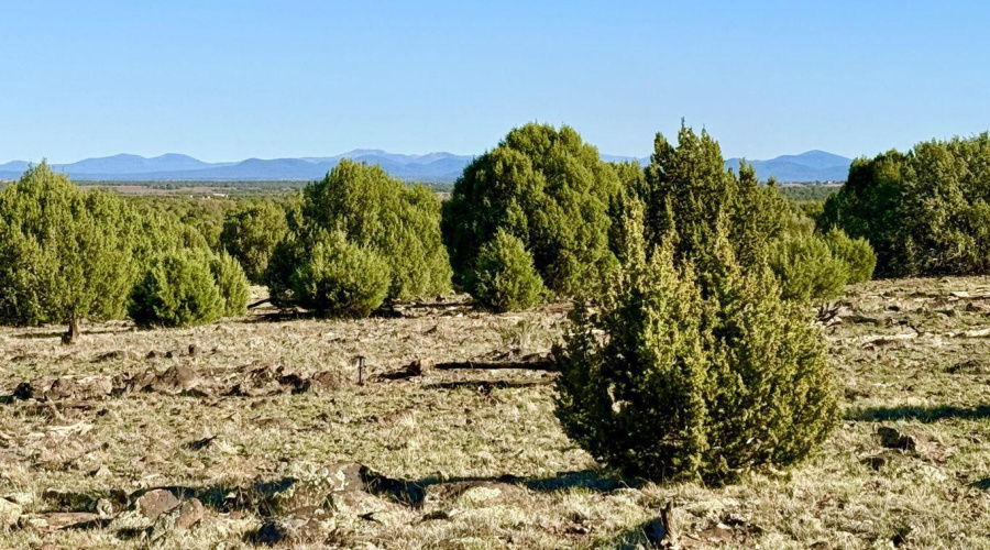 20251116073607964091000000-o