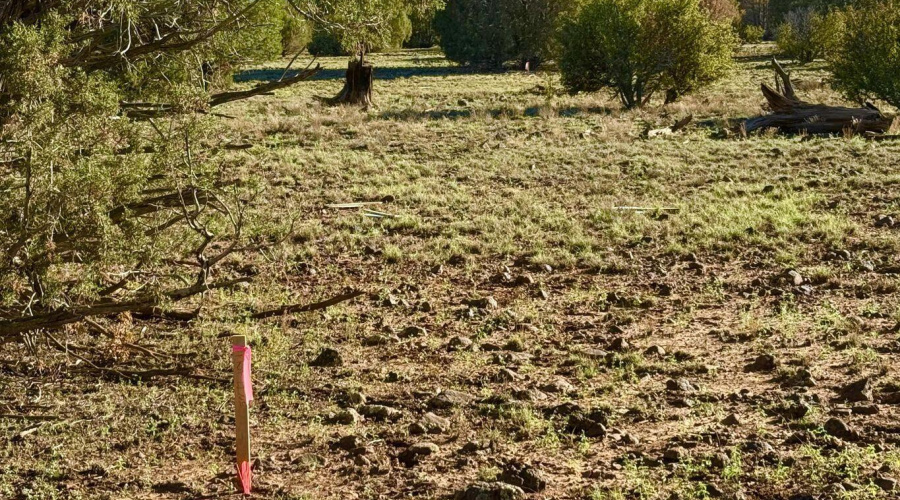 20251116072759740366000000-o