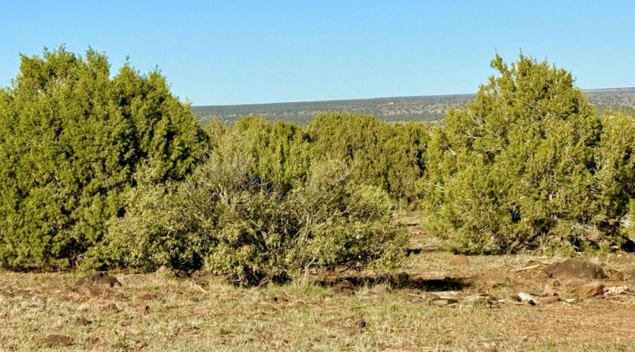 20251116072711897174000000-o