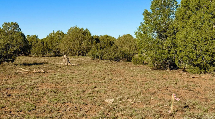 20251116072845487547000000-o