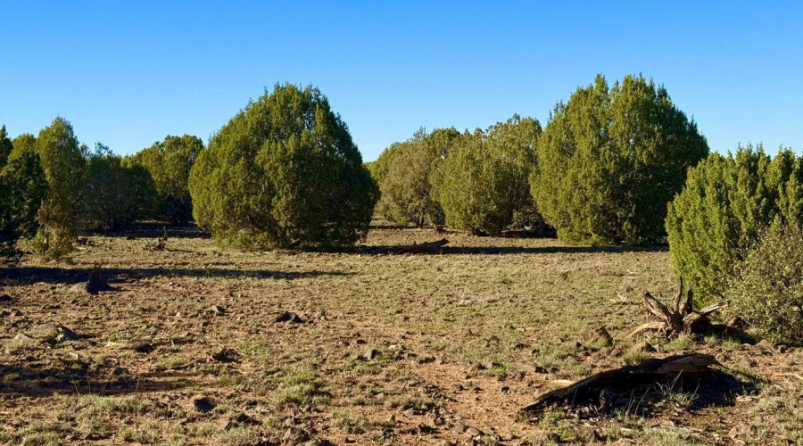 20251116072904755047000000-o