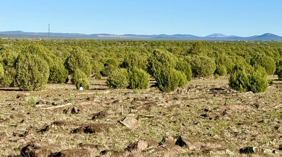 20251116073145373292000000-o