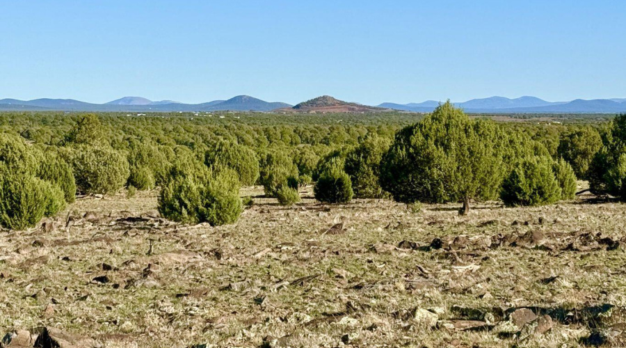 20251116073649584996000000-o