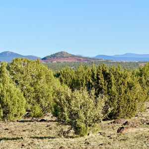 20251116074653273555000000-o