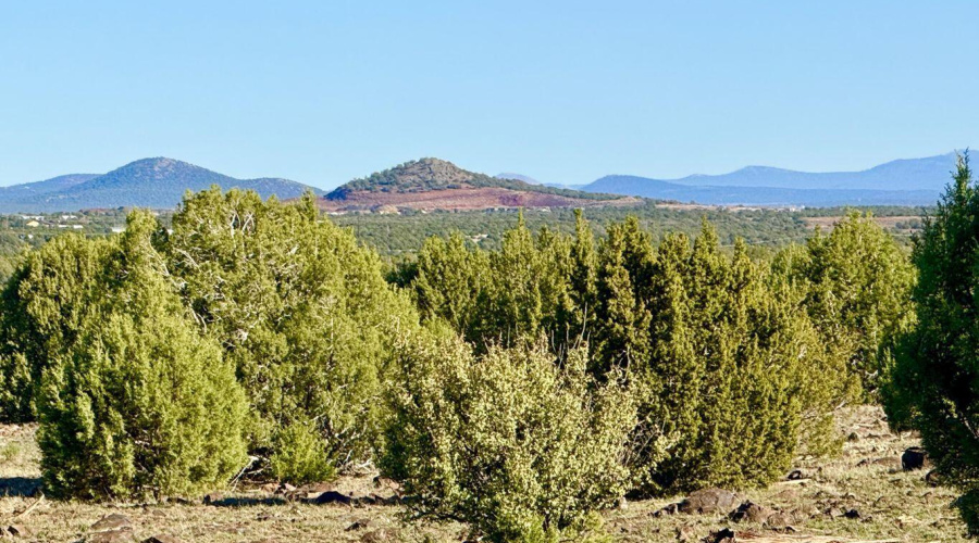 20251116074653273555000000-o