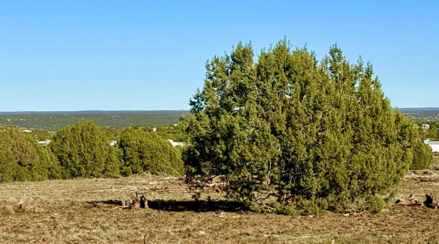 20251116074111039508000000-o