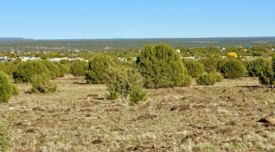 20251116074845733213000000-o