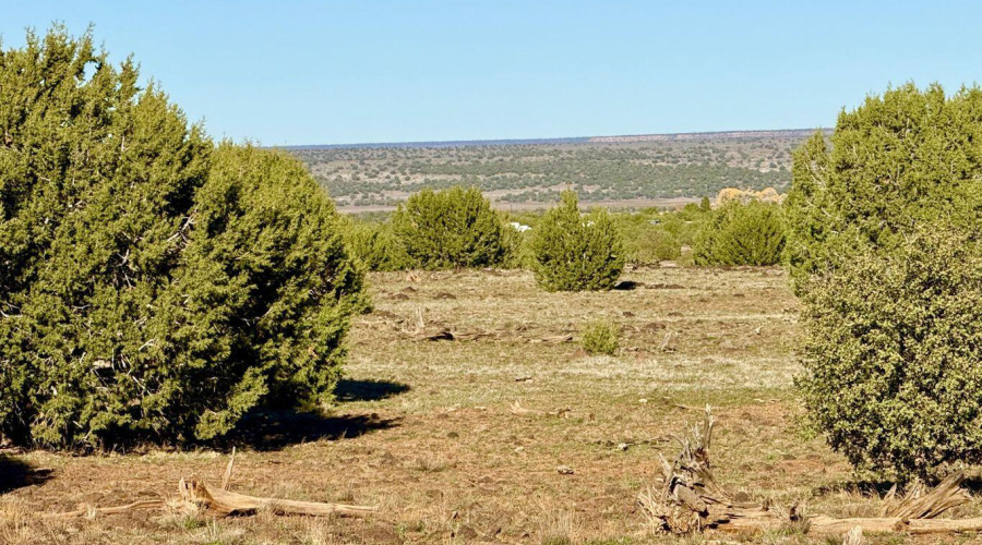 20251116075029735726000000-o