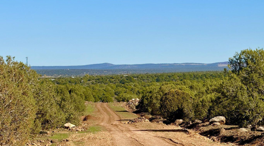 20251116080552448091000000-o